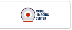 Evzoia - Model Imaging Center